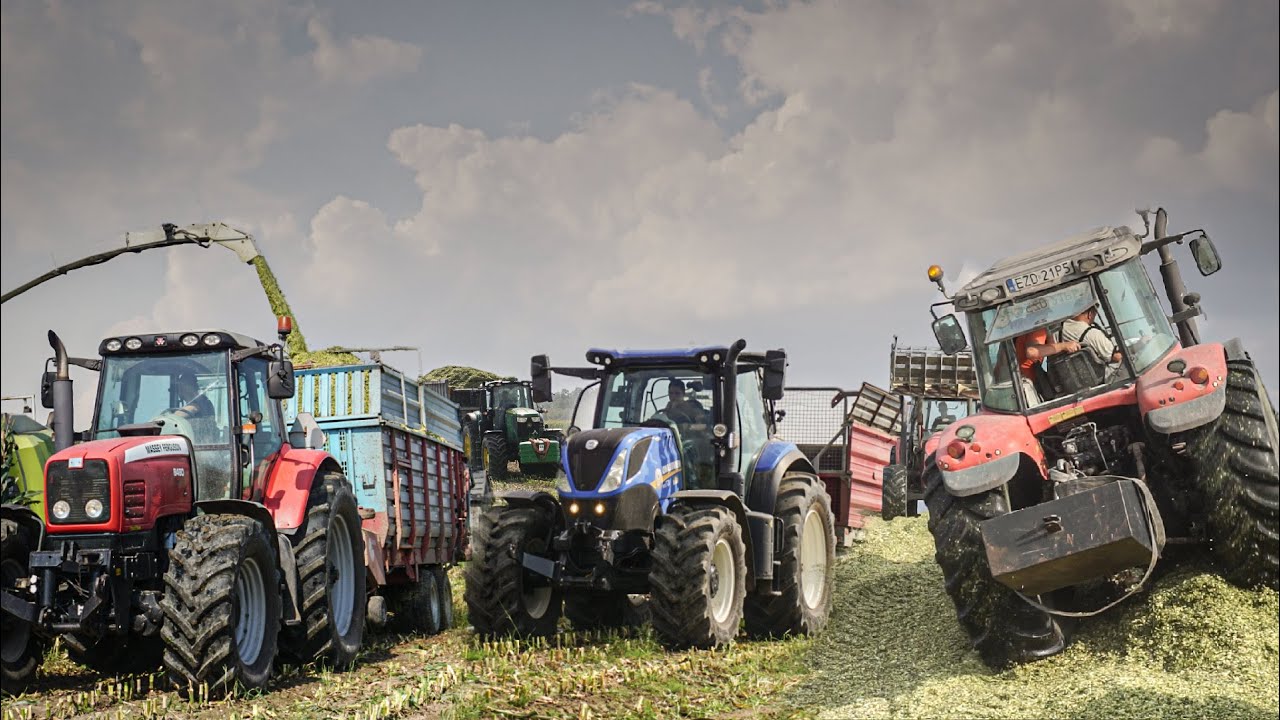 🇵🇱KUKURYDZA NA KISZONKĘ 2025!🔥5 ZESTAWÓW🔥TAKI OPÓR ŻE NIE MA KIEDY UBIJAĆ🤣GR BEJMERT✔