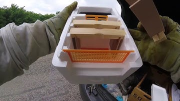 How to put together a Mini Mating Nuc  Beginning beekeeping in Texas
