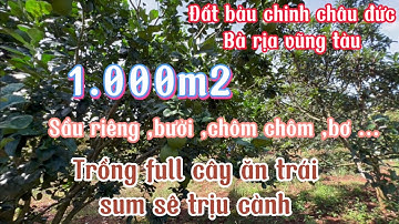 Chị Hương kẹt tiền cần bán gấp đất vườn 1.000m2 trồng trái cây sum sê BRVT