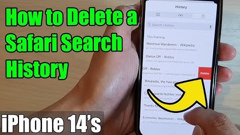 iPhone 14/14 Pro Max: How to Delete a Safari Search History