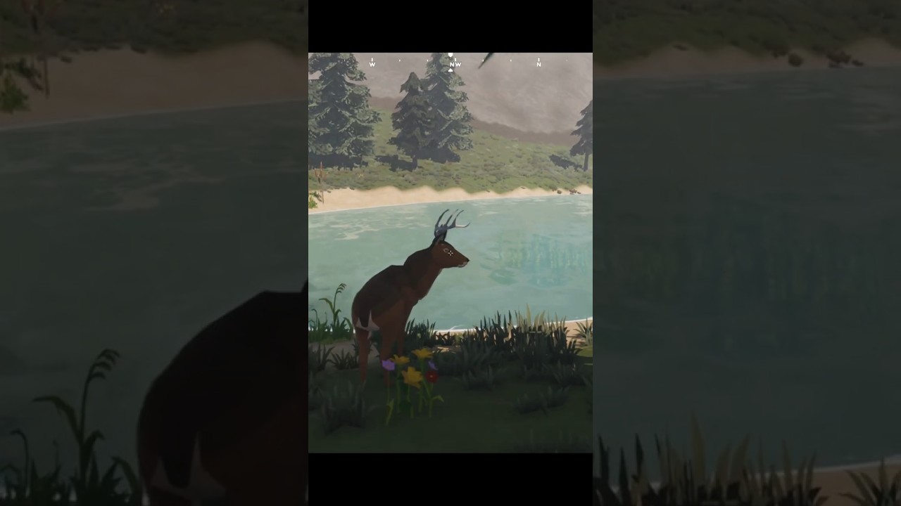 Was This Deer on Drugs?! 😂 