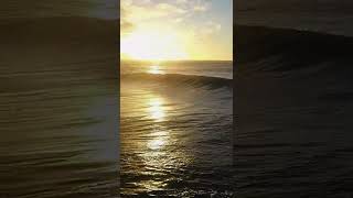 Pipeline Hawaii Golden Hour #short #shortsvideo #shorts