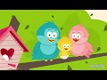 Bird Navigation Quiz
