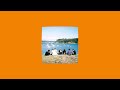Basic Partner - THEM (Official Visualizer)
