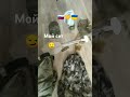 весь мой сет