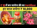 फलों के छिलके से बचाए ₹10,000 रूपये - Homemade Bio Enzymes | Natural fertilizer for Hibiscus plants