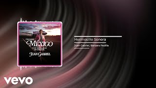 Juan Gabriel - Hermosillo Sonora (Audio) ft. Bárbara Padilla by JuanGabrielVEVO 12,724 views 7 months ago 4 minutes, 40 seconds