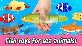 [EN] Fish toys for sea animals!! animal names for kids, kids animation, collecta ㅣCoCosToy