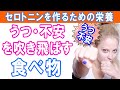 【うつ・不安】セロトニンを作るための栄養が豊富な食べ物|大和市の整体 中央林間カイロプラクティック