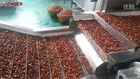 Industrial Continuous Fryer Machine|Peanut Fryer Machine|Chips Frying Equipment