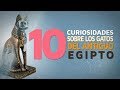 10 Curiosidades sobre los gatos en el Antiguo Egipto 😸