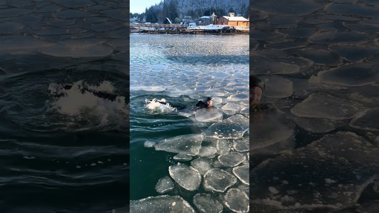 Super 😆 strange “otter” sighting today in the Wrangell Harbor! #alaskalife #boatlife