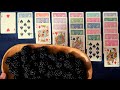 Soft  sweet blackberries  snacks n solitaire  asmr solitaire 471