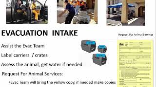 Intake