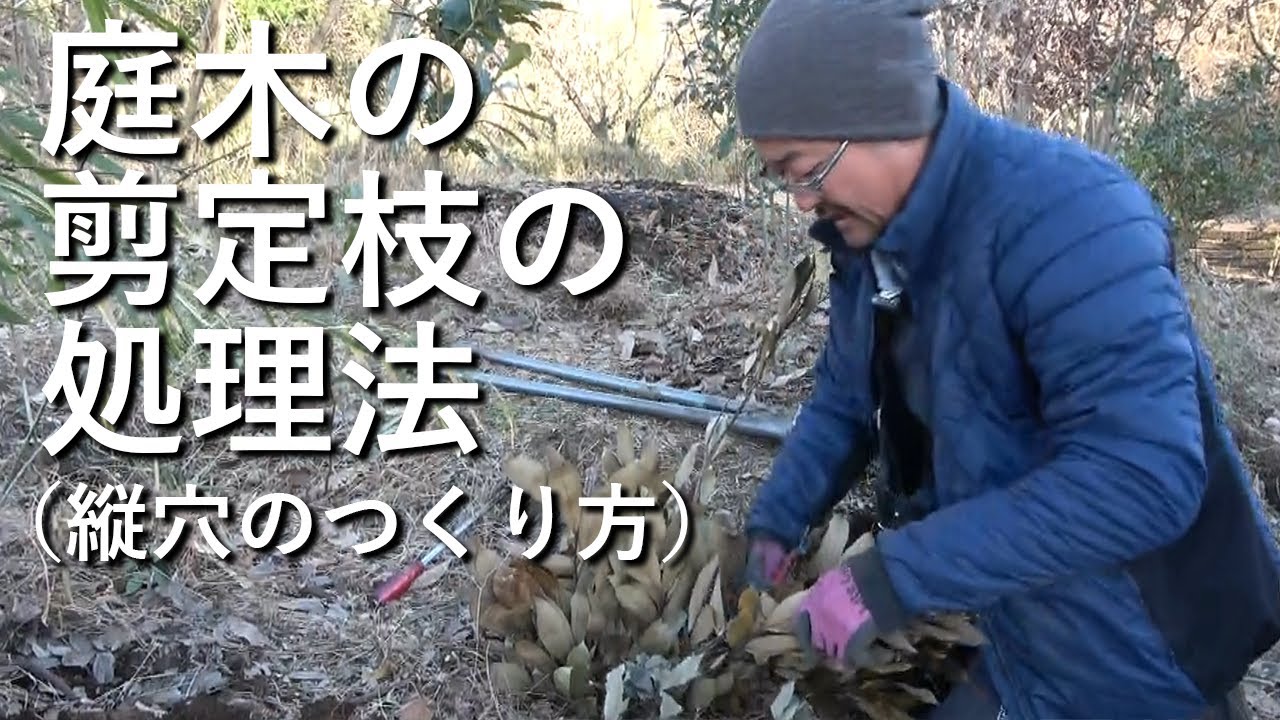 庭木の剪定枝の処理法 縦穴のつくり方 土中環境の改善方法 Youtube