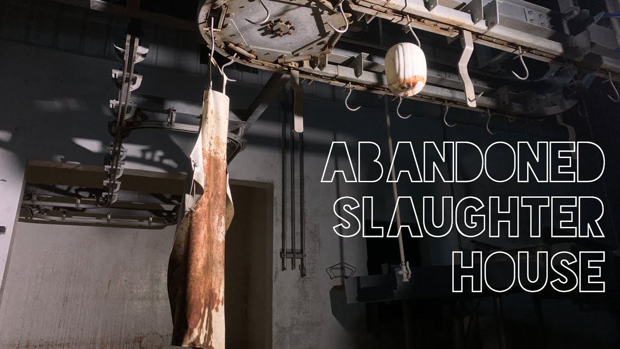 Inside an Abandoned Slaughterhouse Urbex & Lost Places YouTube