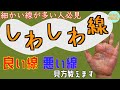 【線が多い人必見🤲】生命線・運命線周りの細かい線をどこよりも詳しく解説!!鑑定歴22年占い師の手相勉強会第39回。#公式ラインで手相募集中 #手相
