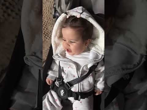 ٢٢ تشرين الثاني ٢٠٢٥