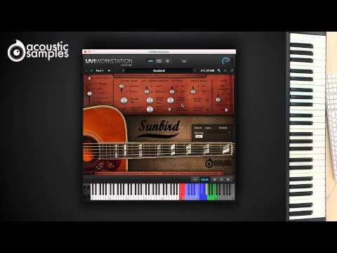 Sunbird Guitar library by Acousticsamples - Strumming