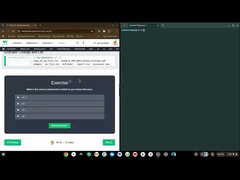 Using the CD  command | Basic Usage | Bash On A Chromebook