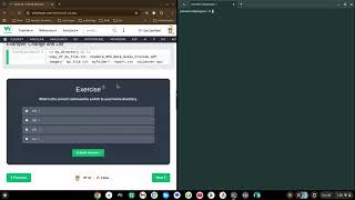 Using the CD  command | Basic Usage | Bash On A Chromebook