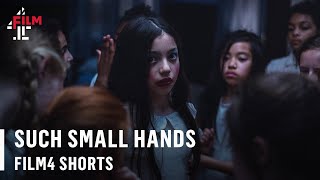 Such Small Hands (2020) by Maria Martinez Bayona | Film4 Short