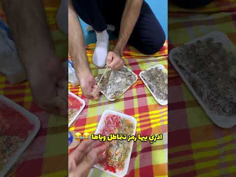 فلوك زيارة الائمة في جنوب العراق