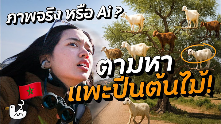 จริงหรือ AI 24 ชม. สุดท้ายที่โมร็อกโก I เอสเซาอิรา