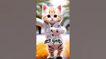 محمد يا قمر اغنيه باسم محمد 