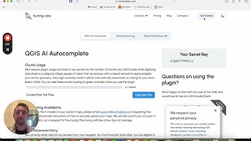 How to Fix Secret Key in the Bunting Labs AI Vectorizer (QGIS)
