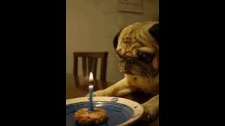 Radiohead - No Surprises (intro loop)