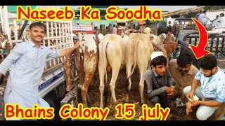 Naseeb kay Soda |Bhains colony| Malir mandi | Sohrab goth mandi 2021