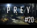 Prey #20 - Спасаю как умею, отстаньте