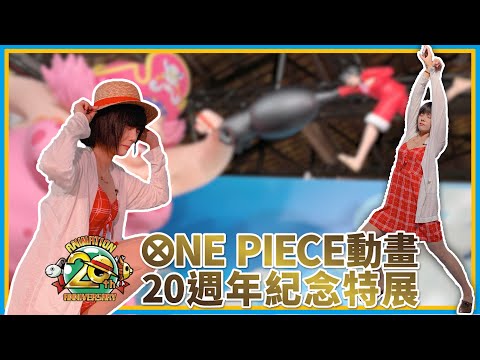【龜看展】ONE PIECE動畫20週年紀念特展！