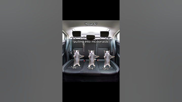 CAT MEMES 🐱 Vacation With Family #catmemes #relatable #shorts