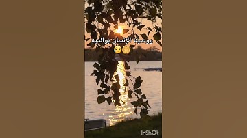 راحة القلب ❤️ #القرءان الكريم #راحة_نفسية #القارئ ايوب الريفي ❤️ #ووصينا الإنسان بواليه❤️😥🤲