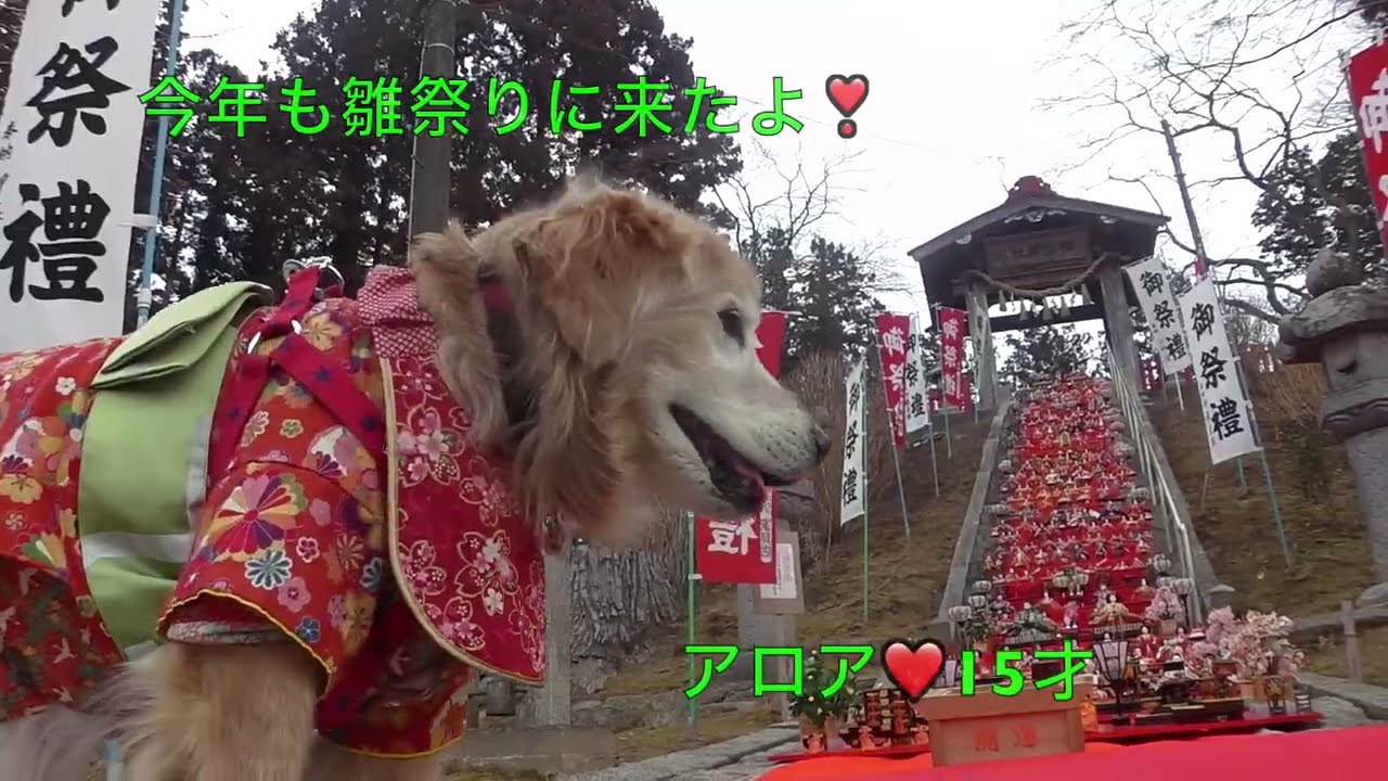 2026 2 14 千厩町松澤神社雛祭り