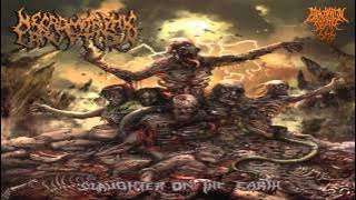 Necromorphic Irruption - Slaughter On The Earth (2013) {Full-Album}
