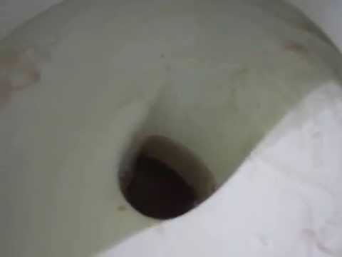 Como sacar la cal o el sarro del inodoro con vinagre, bicarbonato ... Tasa de baño ecologica