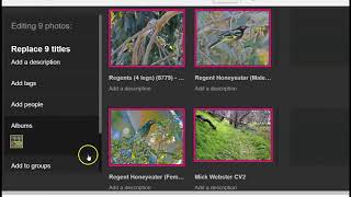 working with photos on flickr