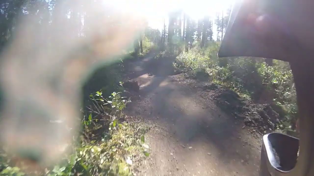 360 trails old jump line