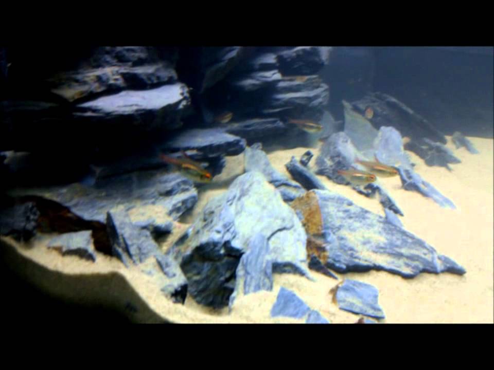 Aquarium 180 Liter