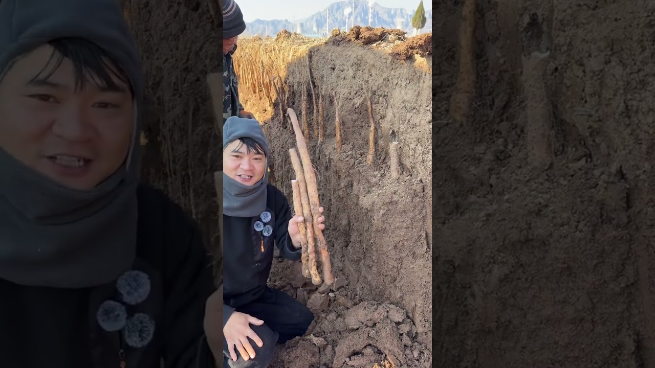 There is heaven and earth, but I will not be forever,