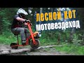 OFFROAD на моторе от ТРИММЕРА? Это реально? Тест драйв экспериментальной разработки!