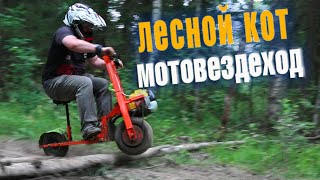 OFFROAD на моторе от ТРИММЕРА? Это реально? Тест драйв экспериментальной разработки \