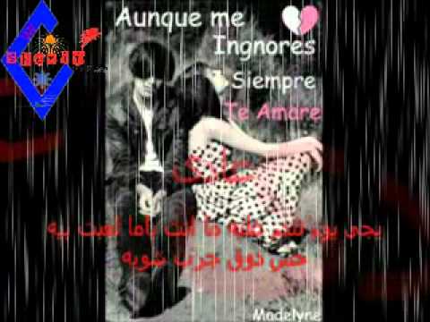 مش هبكى تانى من اخراج شريف جمال 4