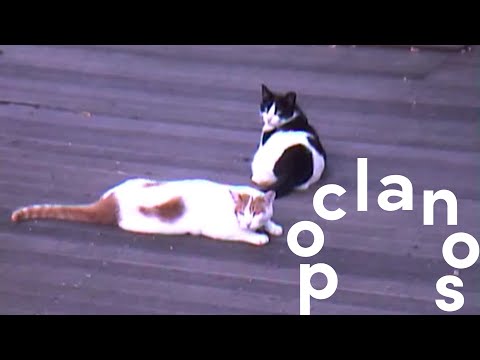 [MV] 이희상 (LEEHEESANG), 브로산디 (Brosand:) - Daydreaming / Official Visualizer