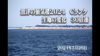 魚津の蜃気楼2024　5月26日　生地の変化 30倍速 Superior mirage