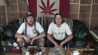 THC episode-173 bro-dad-sons
