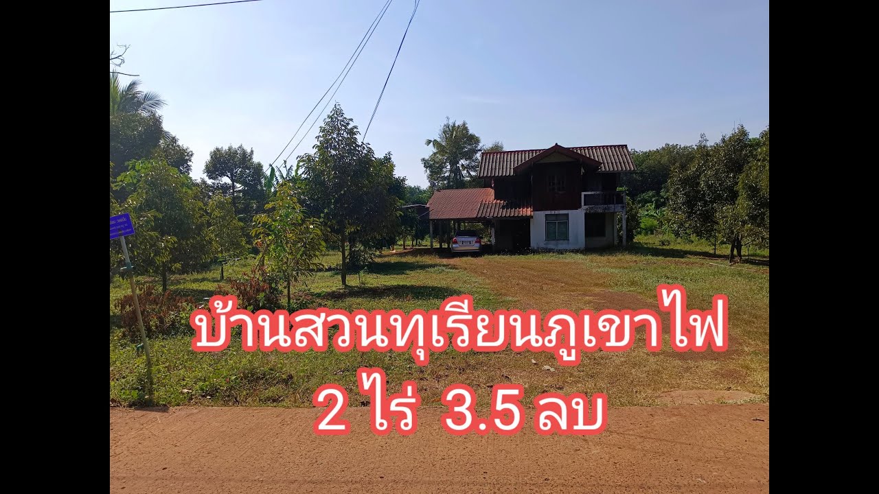 EP21 สวนทุเรียนศรีสะเกษ พร้อมบ้าน  บนเนื้อที่ 2 ไร่  ให้ผลผลิตแล้วบางส่วน ขายด่วนเจ้าของดูแลไม่ไหว